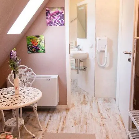 Historia Neustadt an der Weinstraße